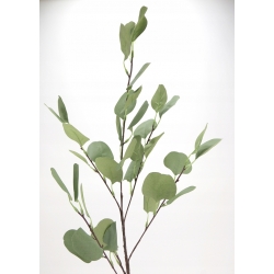 DUŻA GAŁĄZKA sztuczne liście EUKALIPTUSA pastel zieleń 6x łodyżek 90cm