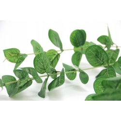 GAŁĄZKA sztuczne liście EUKALIPTUSA cieniowane zielone dł. 86cm
