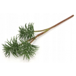 3x SUKULENTY na łodydze 