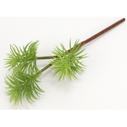 3x SUKULENTY na łodydze 