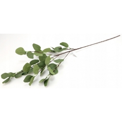 DUŻA GAŁĄZKA sztuczne liście EUKALIPTUSA pastel zieleń 6x łodyżek 90cm
