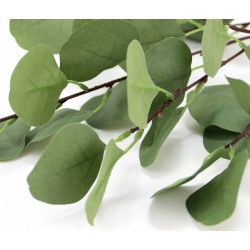 DUŻA GAŁĄZKA sztuczne liście EUKALIPTUSA pastel zieleń 6x łodyżek 90cm