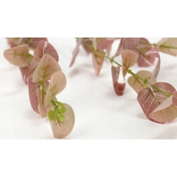 GAŁĄZKA sztuczne liście EUKALIPTUSA cieniowany róż dł. 86cm