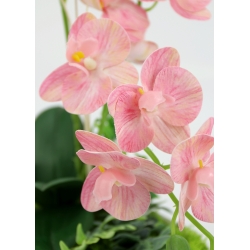 Kompozycja BIAŁY SZTUCZNY GUMOWY STORCZYK w betonowej osłonce z chrobotkiem