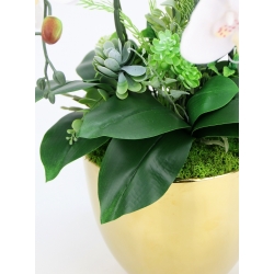 DUŻA Kompozycja PREMIUM BIAŁE STORCZYKI w ZŁOTEJ DONICZCE wys. 66cm