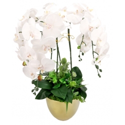 DUŻA Kompozycja PREMIUM BIAŁE STORCZYKI w ZŁOTEJ DONICZCE wys. 66cm