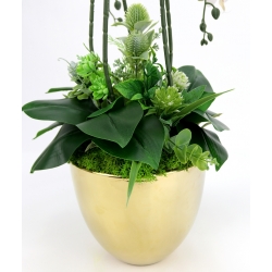 DUŻA Kompozycja PREMIUM BIAŁE STORCZYKI w ZŁOTEJ DONICZCE wys. 66cm