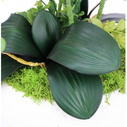 Kompozycja BIAŁE gumowe STORCZYKI LUX w betonowej osłonce Wys. ~50cm