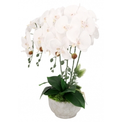 Kompozycja BIAŁE satynowe STORCZYKI LUX w betonowej osłonce Wys. ~56cm