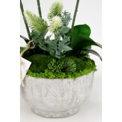 Kompozycja BIAŁE satynowe STORCZYKI LUX w betonowej osłonce Wys. ~56cm