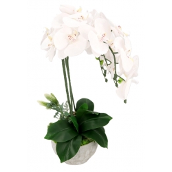 Kompozycja BIAŁE satynowe STORCZYKI LUX w betonowej osłonce Wys. ~56cm