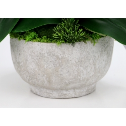 Kompozycja BIAŁE satynowe STORCZYKI LUX w betonowej osłonce Wys. ~56cm