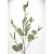 DUŻA GAŁĄZKA sztuczne liście EUKALIPTUSA pastel zieleń 6x łodyżek 90cm