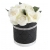 BUKIET Flower Box czarno srebrny RÓŻE i PEŁNIKI - nr 40