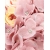 Bukiet LUX czarny Flower Box MIX różowych kwiatów