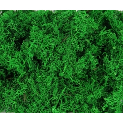 MECH CHROBOTEK reniferowy C. ZIELONY Paczka 100g