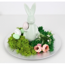 MECH CHROBOTEK reniferowy C. ZIELONY Paczka 100g