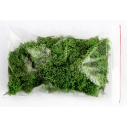 MECH CHROBOTEK reniferowy C. ZIELONY Paczka 100g