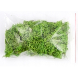 MECH CHROBOTEK reniferowy J. ZIELONY Paczka 100g