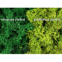 MECH CHROBOTEK reniferowy J. ZIELONY Paczka 100g