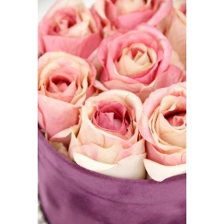 Bukiet w welurowym pudełku RÓŻOWE RÓŻE premium