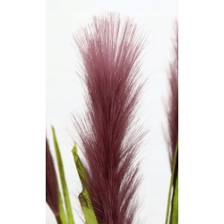 Sztuczna TRAWA PAMPASOWA 4x gęste gałązki FIOLET