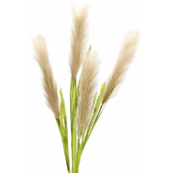 Sztuczna TRAWA PAMPAS 4x gęste gałązki CAPUCCINO