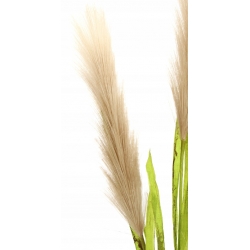 Sztuczna TRAWA PAMPAS 4x gęste gałązki CAPUCCINO