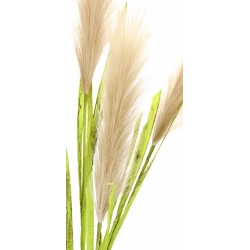 Sztuczna TRAWA PAMPAS 4x gęste gałązki CAPUCCINO