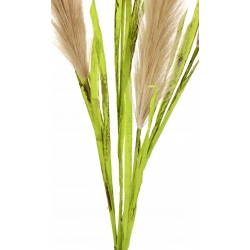 Sztuczna TRAWA PAMPAS 4x gęste gałązki CAPUCCINO