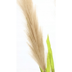 Sztuczna TRAWA PAMPAS 4x gęste gałązki CAPUCCINO