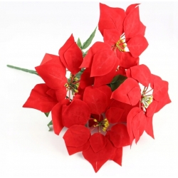 BUKIET GWIAZDA BETLEJEMSKA CZERWONA wys. 50cm 7x kwiatów