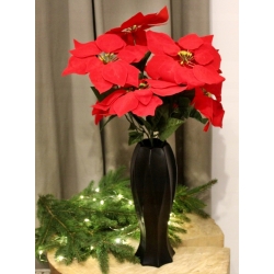 BUKIET GWIAZDA BETLEJEMSKA CZERWONA wys. 50cm 7x kwiatów