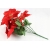 BUKIET GWIAZDA BETLEJEMSKA CZERWONA wys. 50cm 7x kwiatów