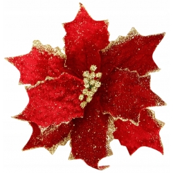 Kwiat Gwiazda Betlejemska POINSECJA głęboka CZERWIEŃ ze ZŁOTYM brokatem