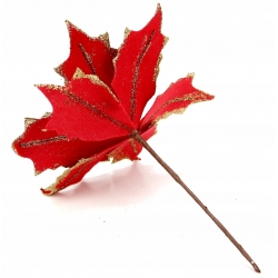 Kwiat Gwiazda Betlejemska POINSECJA głęboka CZERWIEŃ ze ZŁOTYM brokatem